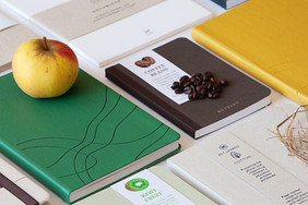 Neue(alte) nachhaltige Papiersorten & Innovationen: Notizbücher aus Apfelpapier, Hanfpapier, Graspapier, Papieren mit Kaffee- oder Wollanteilen oder Kiwipapier. Bild: FNR/Ute Papenfuss