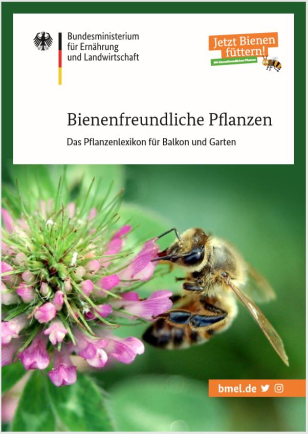 Titelblatt der Broschüre Bienenfreundliche Pflanzen Das Pflanzenlexikon für Balkon und Garten